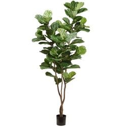 1 tree