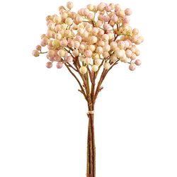 Cream/Pink