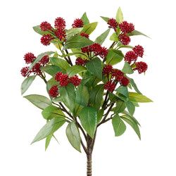 Options – Red