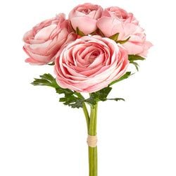 Options – Pink
