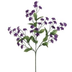 Options – Purple