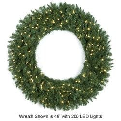 60" LED Lights