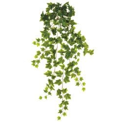 Options – Green