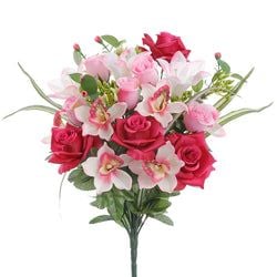 Beauty/Pink
