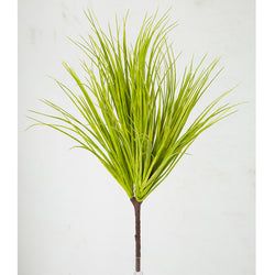 Green/Yellow