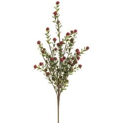 Options – Red