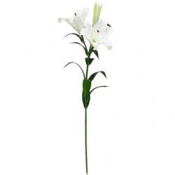 White/White