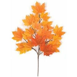 Options – Red/Orange