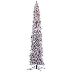 12' Lighted