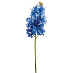 Blue/Delphinium
