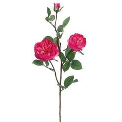 Options – Fuchsia