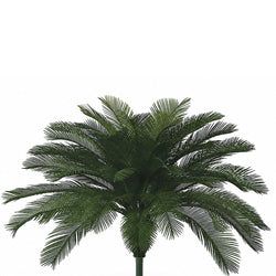 48 Fronds - 36"