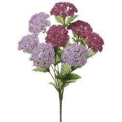 Purple/Lavender