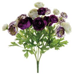 Violet/Orchid