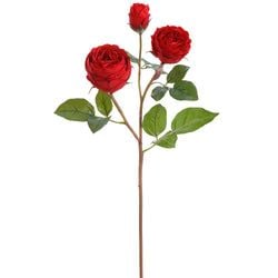 Options – Red