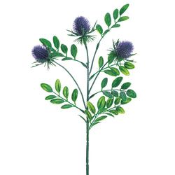 Options – Lavender