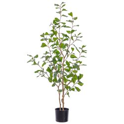 4'