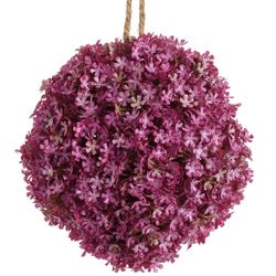 Boysenberry