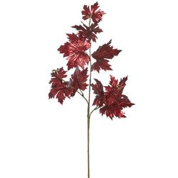Options – Burgundy
