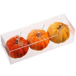 2-Tone Orange