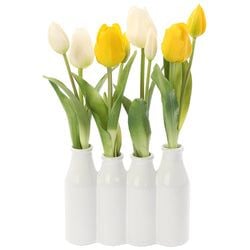 Yellow/White