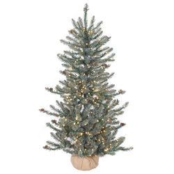 Options – 4' LED