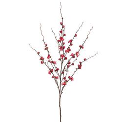 Cerise