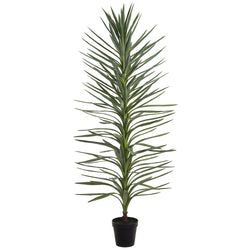 6' - 2 trees