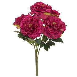 Options – Burgundy/Fuchsia