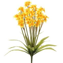 Yellow/Orange