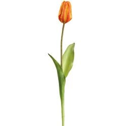 Options – Orange/Yellow