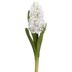 Options – White