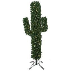 Options – 5'6" LED