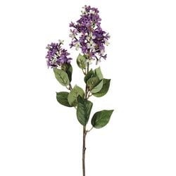 2 Tone Lavender