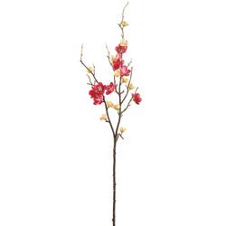 Cerise