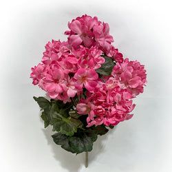 Rose/Pink