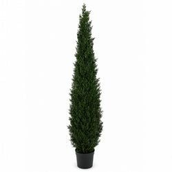 7'