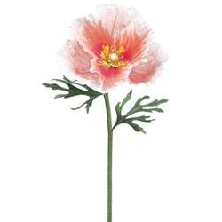 Peach/Pink