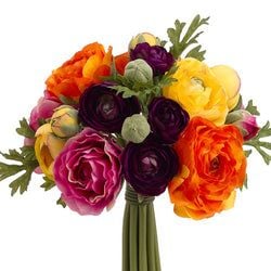 Purple/Orange