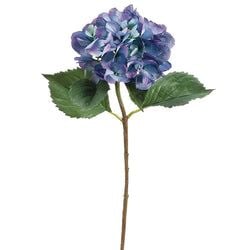 Blue/Helio