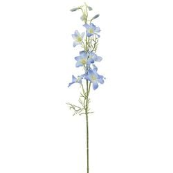 Delphinium Blue