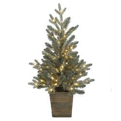 3' Potted