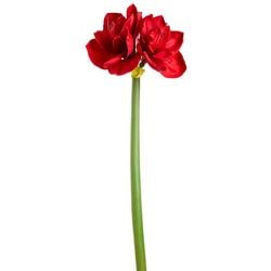 Options – Red