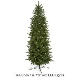 7'6" No Lights