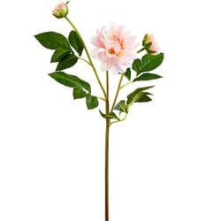 Soft Pink