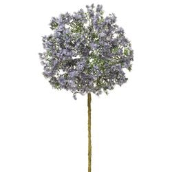 Lavender/Purple