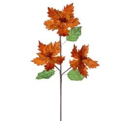 Burnish Orange