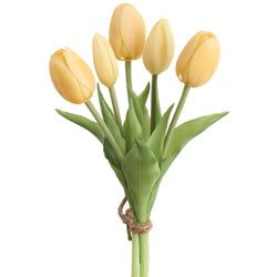 Soft Yellow
