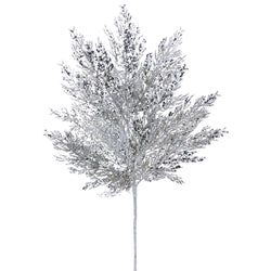 Silver
