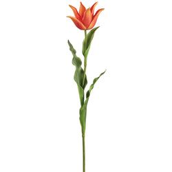 Flame/Green